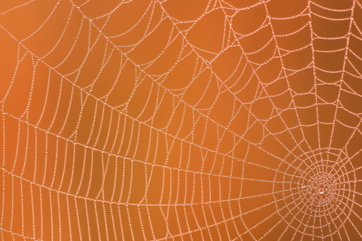 965386 (a): :2048x1365